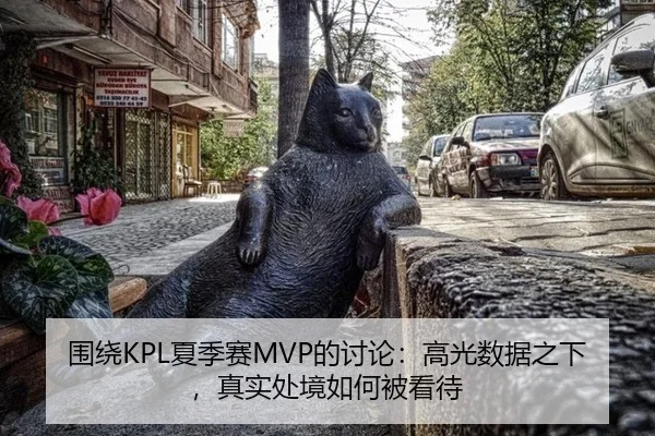 围绕KPL夏季赛MVP的讨论：高光数据之下，真实处境如何被看待